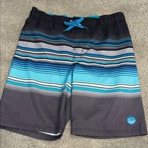 ZeroXposur Swim Shorts with Teal and Gray